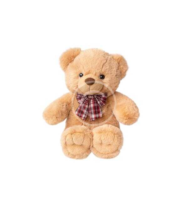 Teddy Bear Toy