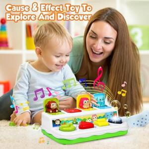 Engaging and Educational Toys